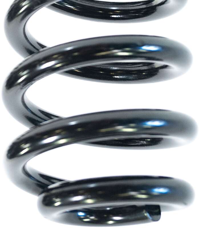 Camburg 05-24 Ford F-250/350 4WD 2.5in. Performance Coil Springs (pair) (gas) - Image 3