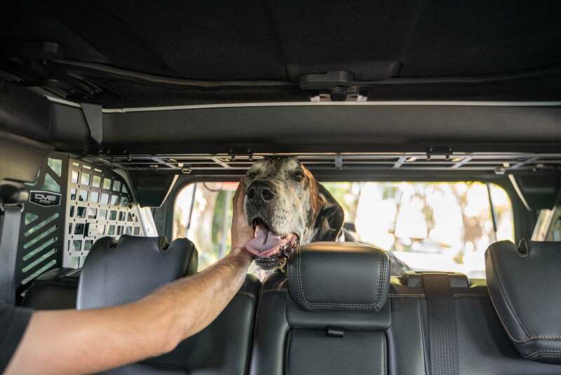 DV8 Offroad 2021-2024 Ford Bronco Dog Barrier - Image 10
