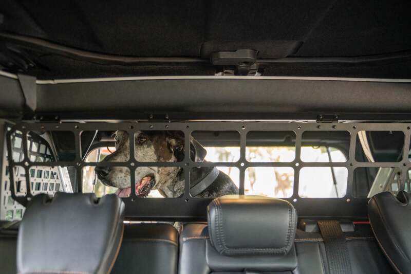 DV8 Offroad 2021-2024 Ford Bronco Dog Barrier - Image 18
