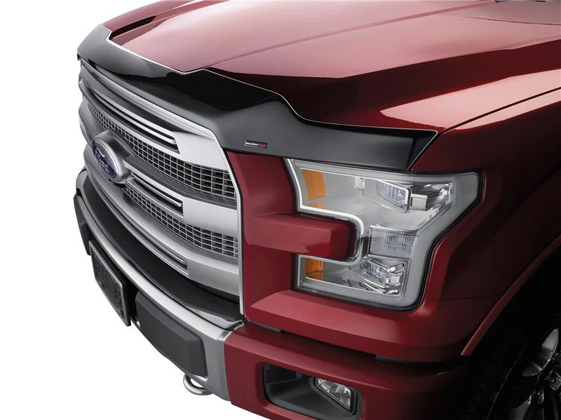 WeatherTech 2015+ Ford Mustang Hood Protector - Black - Image 2